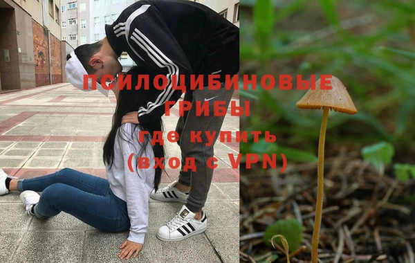 гидра Покачи