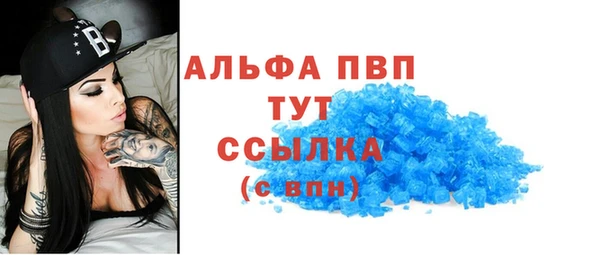 спайс Пересвет