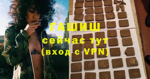 гидра Покачи