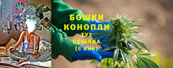 спиды Пестово