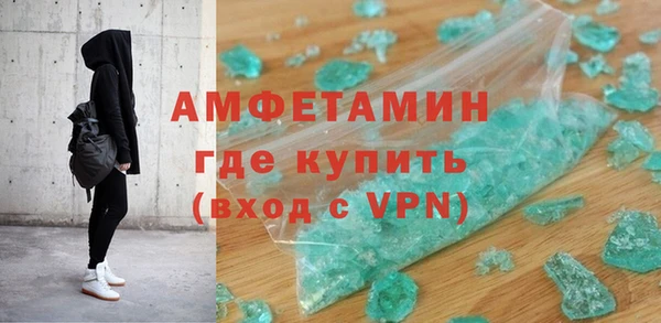 гидра Покачи