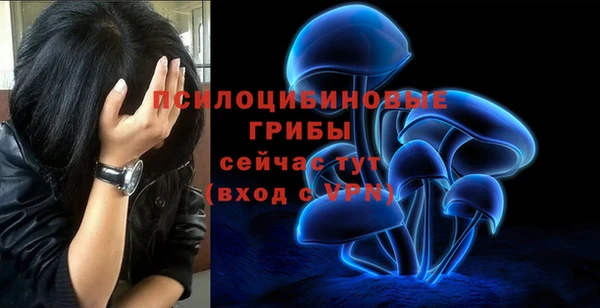 спиды Пестово