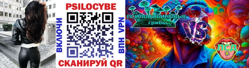где найти Королёв Псилоцибиновые грибы мухоморы